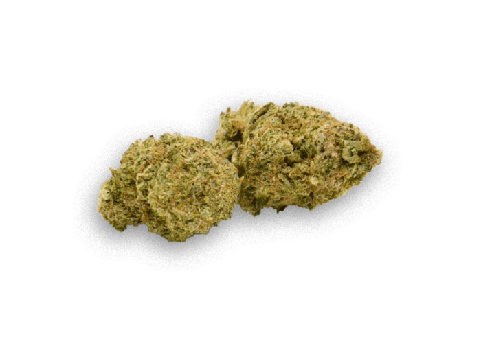 Tropicana